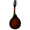 Tanglewood Mandolin Teardrop Body Mandolin