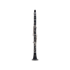 Vito Student Bb Soprano Clarinet Outfit With Wood Case