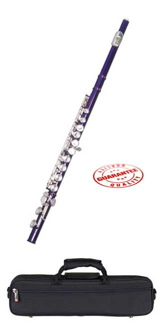 Hawk Color Closed Hole C Flute Purple with Case