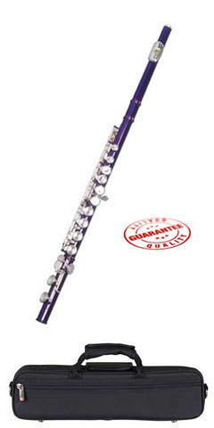 Hawk Color Closed Hole C Flute Purple with Case