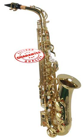 Hawk Student Gold Lacquered Alto Saxophone with Case, Mouthpiece and Reed
