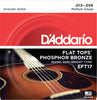 D'Addario EFT17 Flat Tops Phosphor Bronze Acoustic Guitar Strings, 13-56