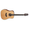 Takamine GD20 Dreadnought Acoustic Guitar, Natural Satin